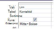 Sõna või fraasi välistamiseks kasutage mittekriteeriume, millele järgneb sõna või fraas, mille soovite välja jätta.
