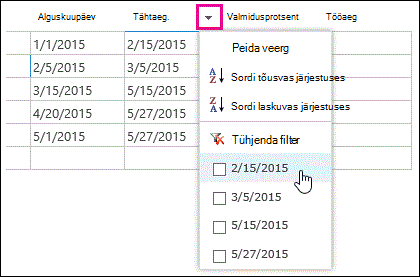 Filtri rakendamine andmelehe väljale Tähtaeg.