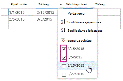Filtri rippmenüü andmelehel, kus on valitud mitu väärtust.