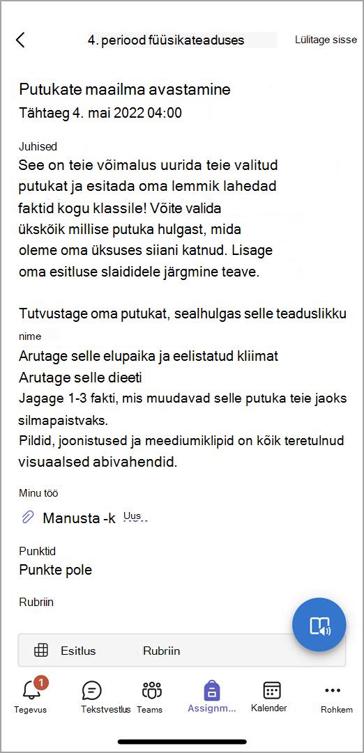 Kuvatõmmis sellest, mida õppurid mobiili teamsis ülesande esitamisel näevad.