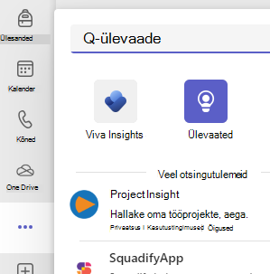 Ülevaate kuvatõmmis.