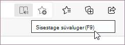 Sisestage süvaluger
