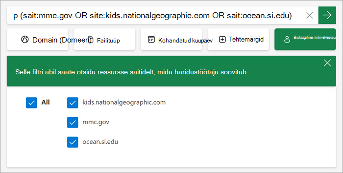kuvatõmmis selle kohta, kuidas kohandatud filter õppuritele sisse lülitatud kujul kuvatakse.