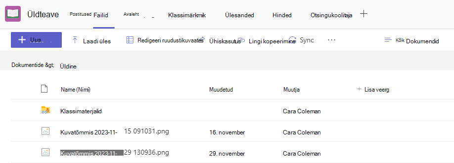 Failide kuvatõmmis.