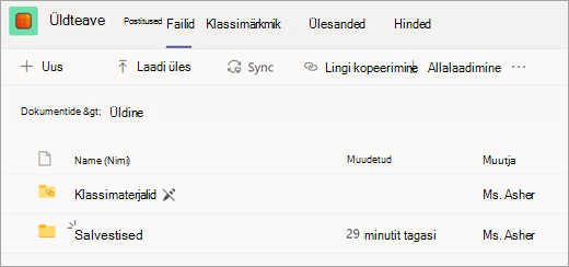 klassi töörühma vahekaart Files kaustaga Salvestised