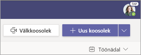 Kuvatõmmis, millel on kujutatud valik + Uus koosolek.