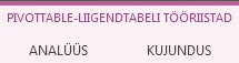 PivotTable-liigendtabeli tööriistad