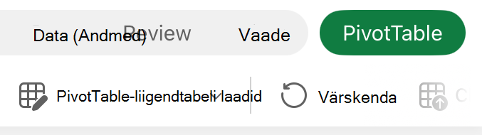PivotTable-liigendtabeli vahekaart iPadis