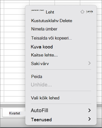 Menüü Kaitse töövihikut pole MacOS-i jaoks saadaval