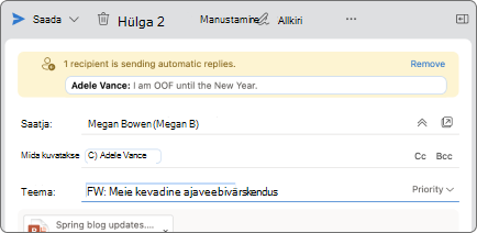 Kuvatõmmisel on kujutatud meilispikrite ilme näide.