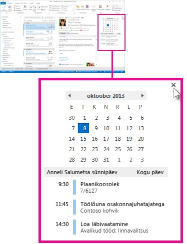 Kinnitatud kalendripisieelvaate nupp Eemalda pisieelvaade