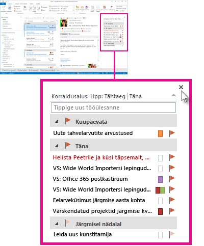 Kinnitatud tööülesannete pisieelvaade