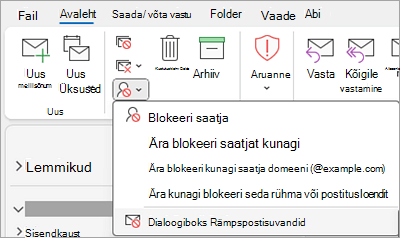 Kuvatõmmis, millel on kujutatud ripploend Blokeeri saatja, kus on valitud rämpspostisuvandid