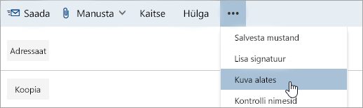 Kuvatõmmis, millel on kujutatud suvand Kuva saatja