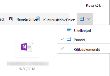 Paanitud vaade dokumenditeegis
