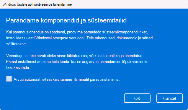 Kuvatõmmis suvandist Windows Update uuesti installimine.