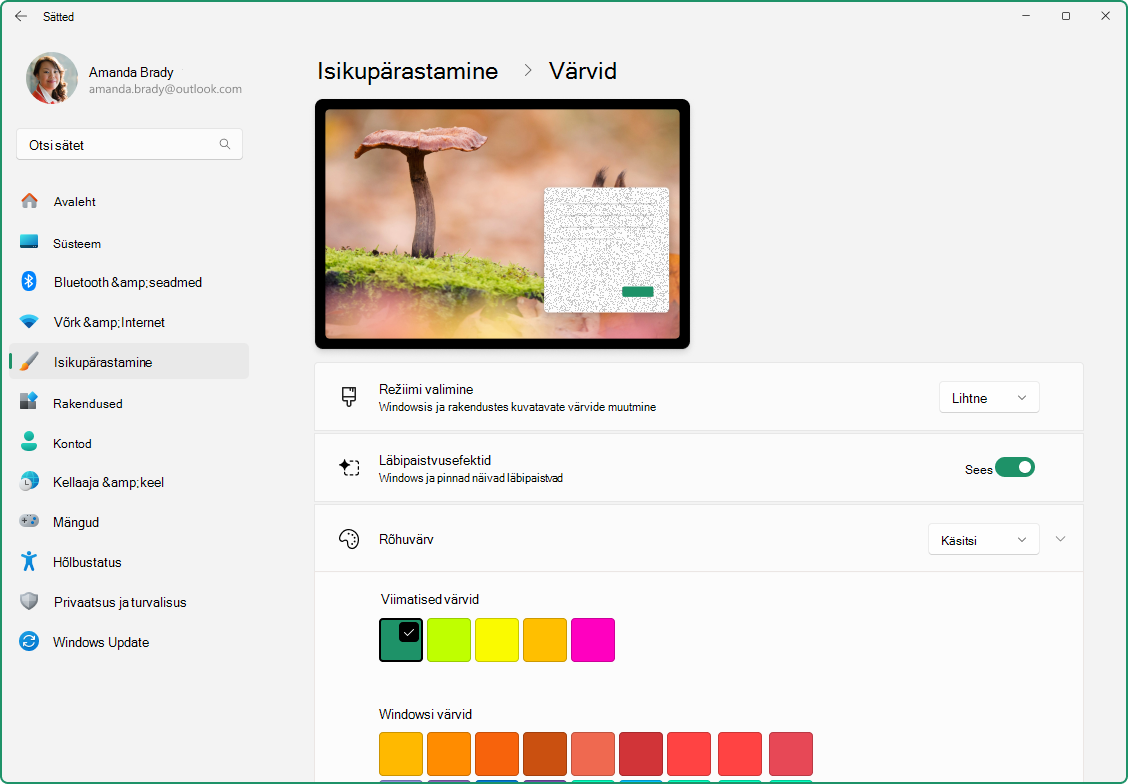 Kuvatõmmis rakendusest Sätted, kus on kuvatud rõhuvärvide kohandamise suvand.
