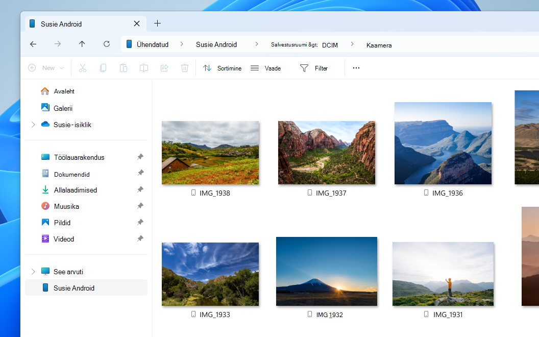 Lingitud mobiilsideseadme fotod File Explorer