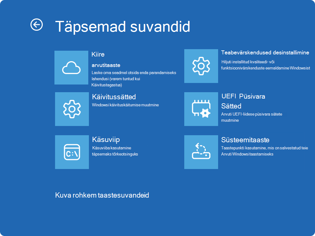 Kuvatõmmis Windows RE, kus on kuvatud täpsemad suvandid ja uus QMR-kirje.