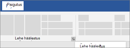 Lehekülje häälestus