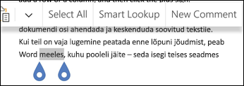 Kontekstimenüüs käsu Uus kommentaar valimine