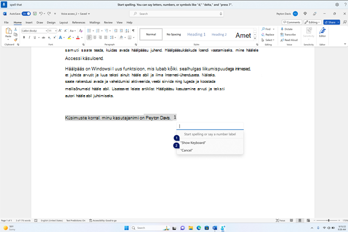 Õigekirjaaken hõljub Word rakenduse peal, kus on tühi tekstiväli ja klaviatuuri kuvamise või numbrisiltide kasutamise suvandid.