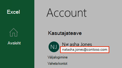 Kuvatõmmis Exceli kasutajakontost.