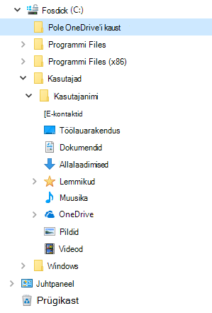 File Exploreri vaade