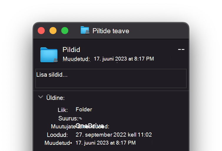 OneDrive_Disk_Space_File pilt