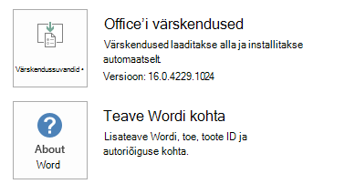 Word värskendussuvandite kuvatõmmis.