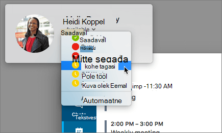 Skype'i akna vertikaalpaigutuse kuvatõmmis, kus on valitud võrgusolekuteabe dialoog.