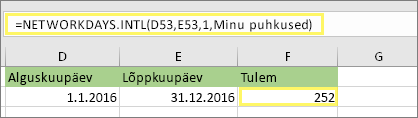 =NETWORKDAYS. INTL(D53;E53;1;MyHolidays) ja tulem: 252