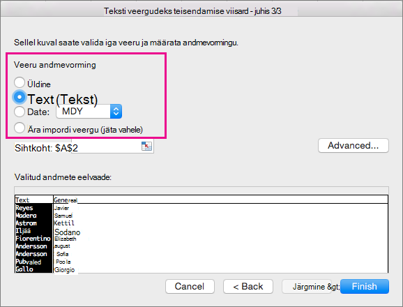 Step 3 in the wizard, Text option selected