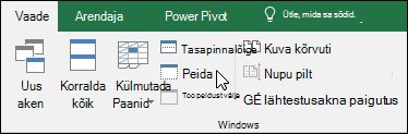 Saate töövihiku peita või kuvada vaates Kuva > Windowsi > peitmine/peidust välja toomine.