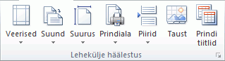 Exceli lindi pilt