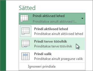 Klõpsake jaotises Sätted nuppu Prindi terve töövihik