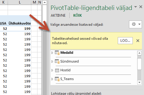 Viip LOO... seos paanil „PivotTable-liigendtabeli väljad”