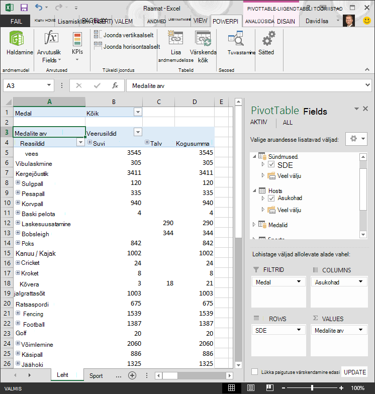 Lisatud hierarhiaga PivotTable