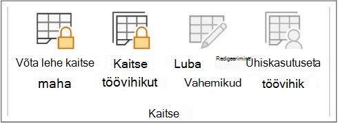 Võta lehe kaitse maha
