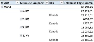 PivotTable-liigendtabel liigendatud kujul