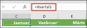 Nimega massiivikonstandi kasutamine valemis (nt =Kvartal1), kus Kvartal1 on määratletud kui ={Jaanuar,Veebruar,Märts}.
