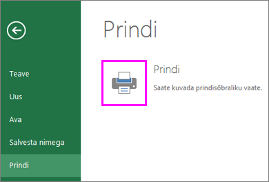 Prindieelvaade