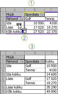 Näide PivotTable-liigendtabeli aruande paigutuse muutmisest