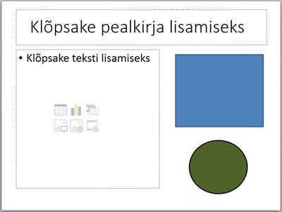 Kahe kohatäite ja kahe omaette objektiga slaid