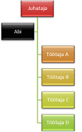 Organisatsiooniskeem paremtaande paigutusega