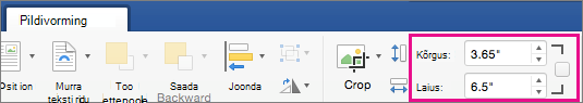 Picture Format tab with Height and Width boxes highlighted.