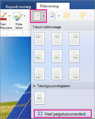 On the Picture Format tab, Position and More Layout Options are highlighted.
