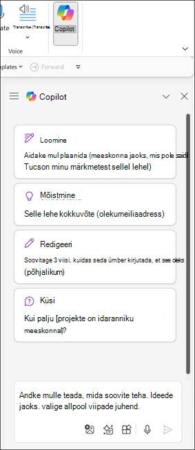 Screenshot of Copilot pane in OneNote