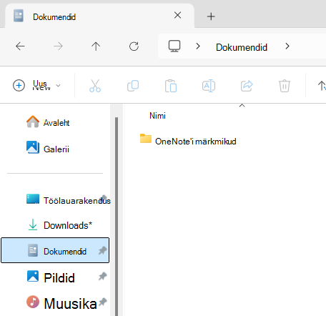 Documents folder showing OneNote Notebook subfolder.