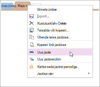 Uue jaotise lisamine OneNote'is